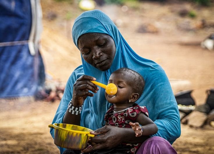 Global food crisis_ Food insecurity worsens due to…